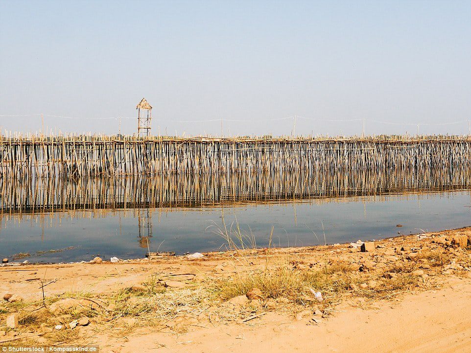 50,000 STICKS: This amazing bamboo bridge in Cambodia is rebuilt each year