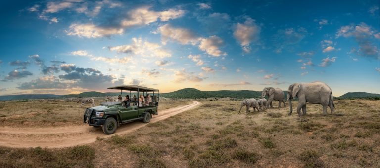 INVIGORATING: Why South African safaris are so addictive