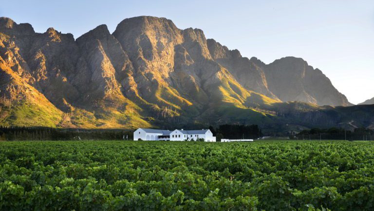 GASTRONOMIC CAPITAL: Why food and wine lovers will adore Franschhoek