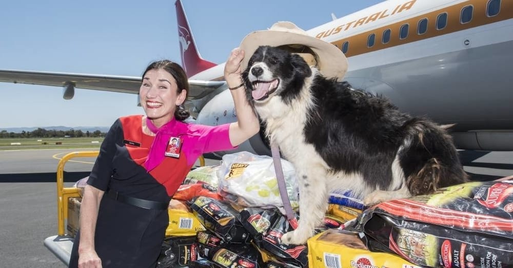 PRECIOUS CARGO: Qantas flight touches down with 650kg of dog food
