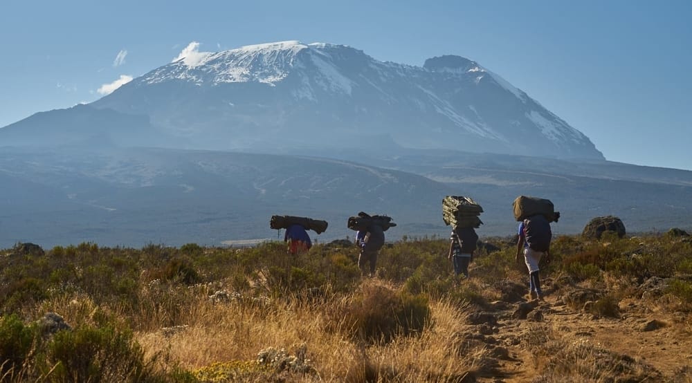 WATCH ON as Reho Travel's Karsten Horne hikes Mt Kilimanjaro