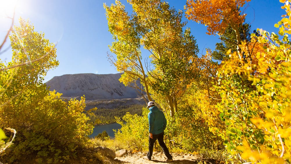 STUNNING PICTURES that'll tempt you visit Mammoth Lakes in Autumn