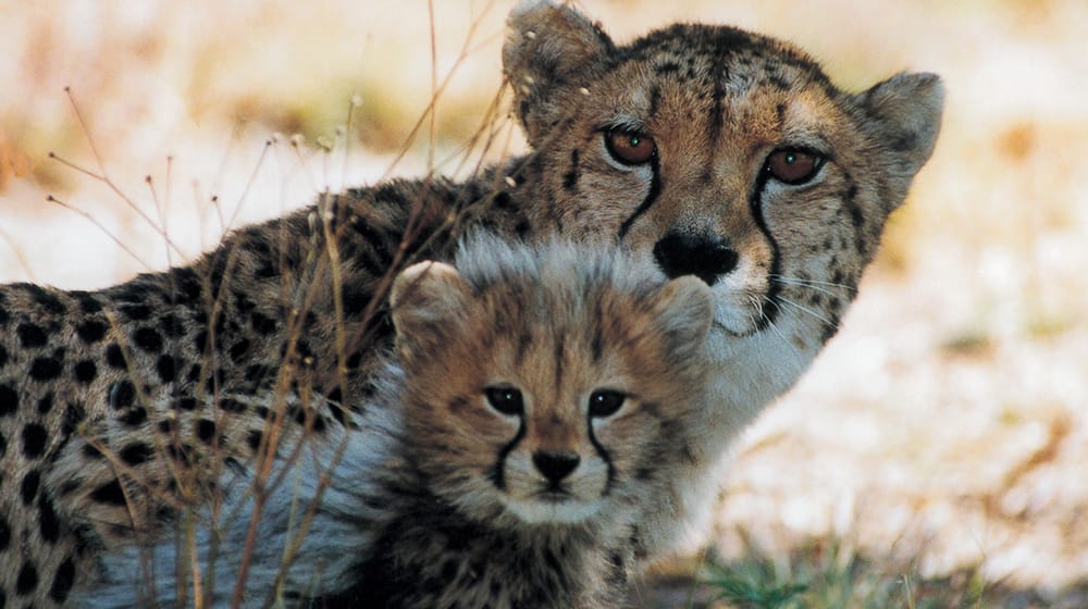 EXCLUSIVE with Sanctuary Retreats: 