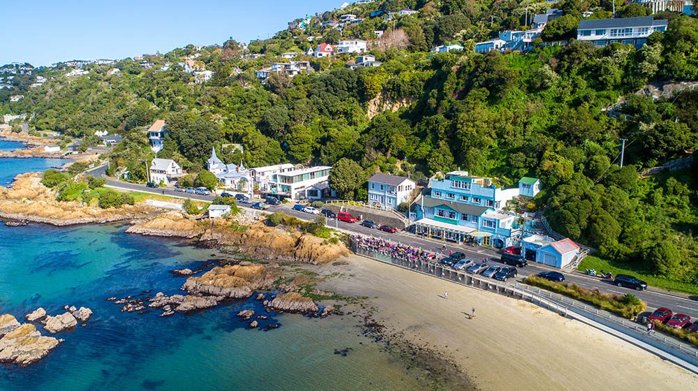 TRAVEL TIPS: A local’s guide to eating & drinking in Wellington