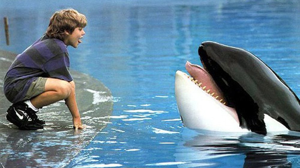 TripAdvisor Refuses To Sell Attractions That Breed Captive Dolphins & Whales