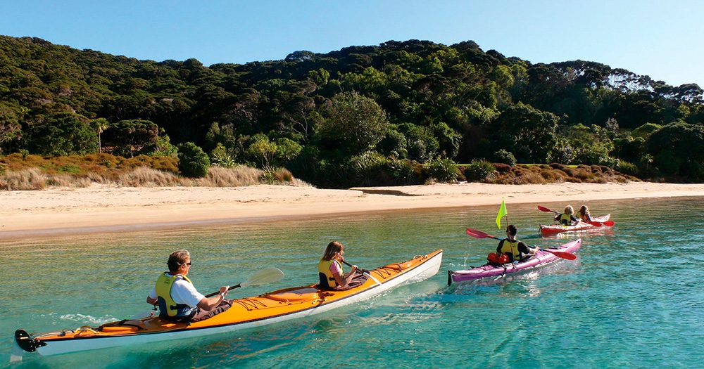 FIND YOUR NZ: What floats your boat?