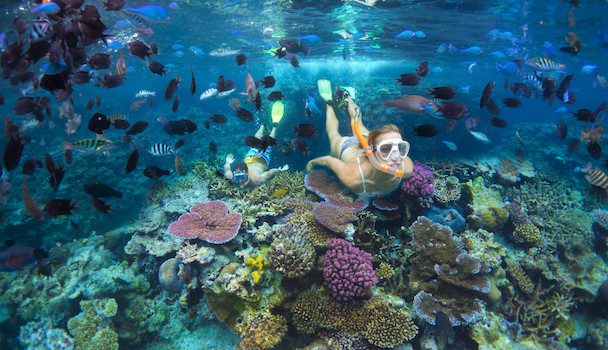 KARRYON-Vanuatu-Adventure-Seeker-Snorkeling-Efate
