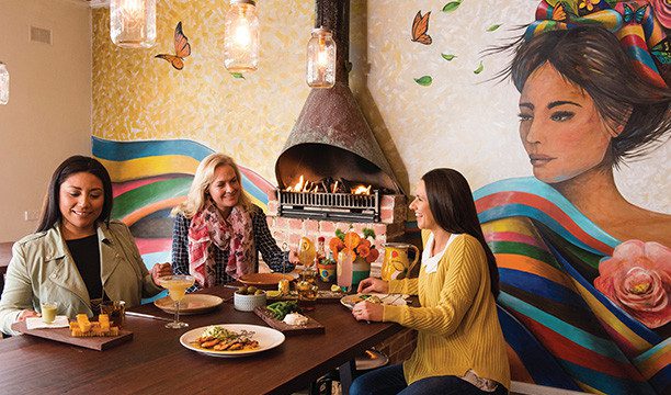 Virtual Tip Jar: Supporting South Australian Tourism Operators 2 karryon-adelaide-hills-coffee-shop