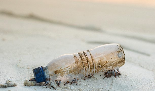 karryon-plastic-bottle-beach