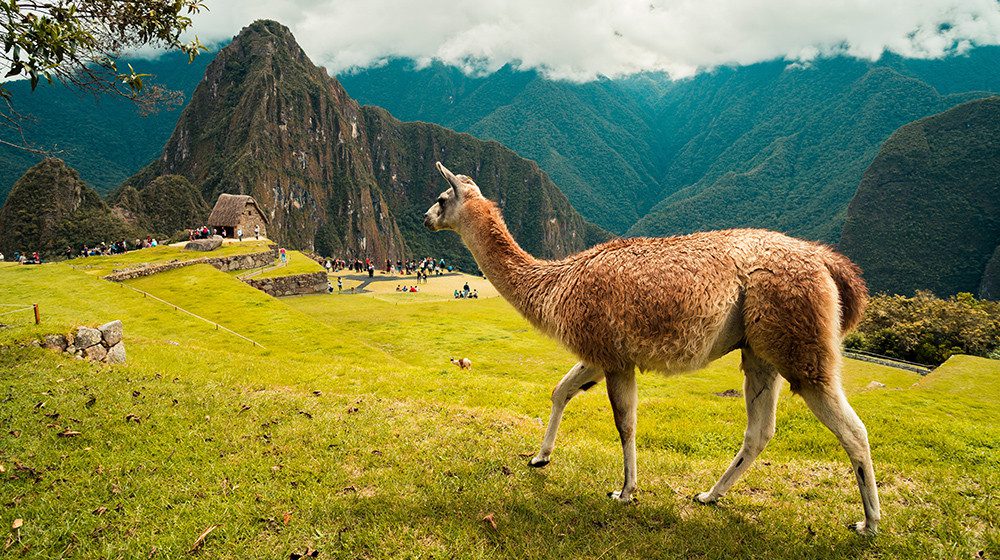 KEEP CALM: Peru’s Machu Picchu will not close during Inca Trail maintenance