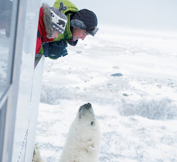 karryon-polar-bear-arctic-adventure-world-3