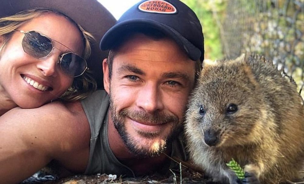 TOO CUTE: The Hemsworths discover the quokka selfie