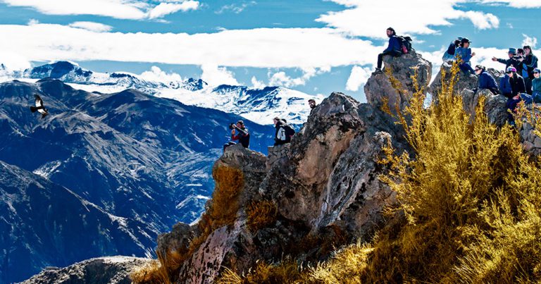 LET’S GO PERU-SING: Seek out these 6 wild experiences in Peru