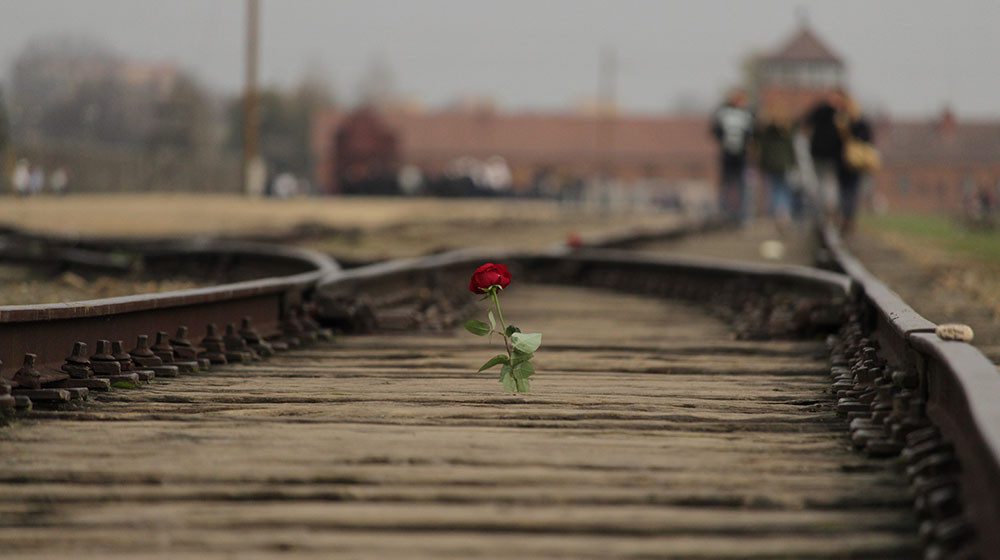 'RESPECT THEIR MEMORY': Auschwitz’s plea for tourists to stop balancing on death camp railway tracks