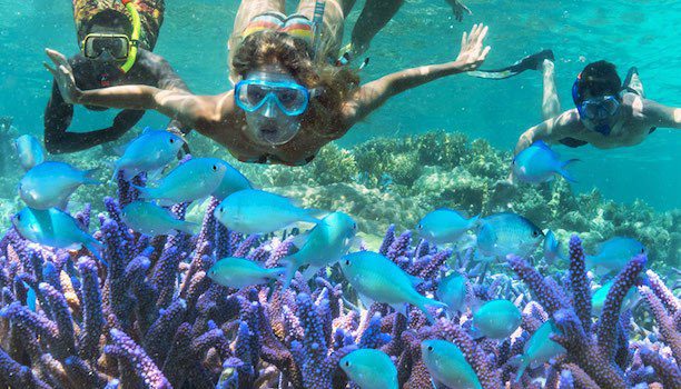 KARRYON-New-Caledonia-Family-Holiday-Snorkelling
