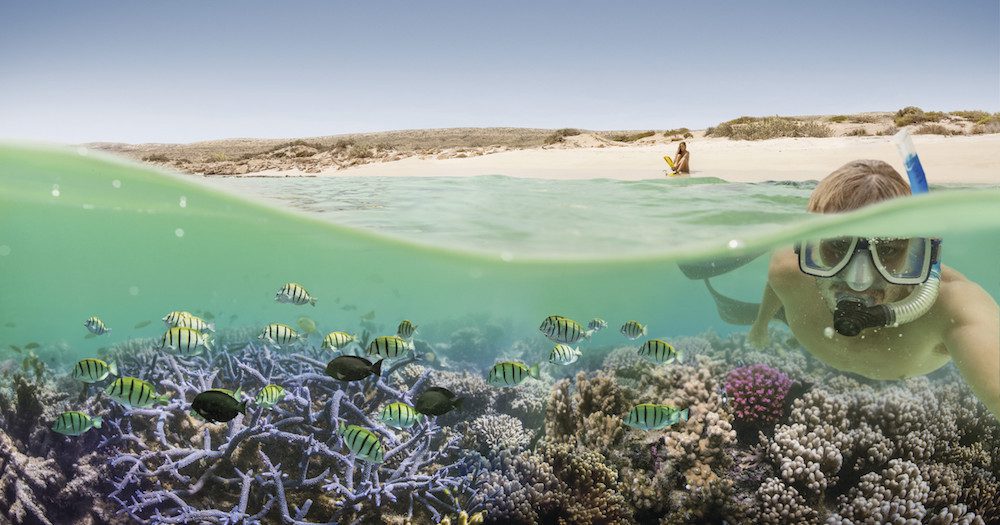 GET WET IN WA: Why the Coral Coast needs to be your next trip