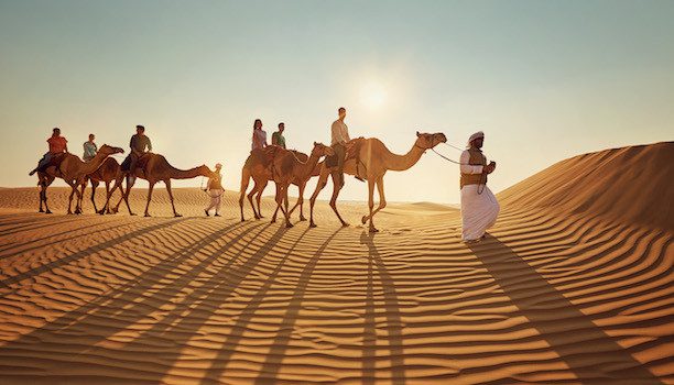 KARRYON-Etihad-Abu-Dhabi-Camels