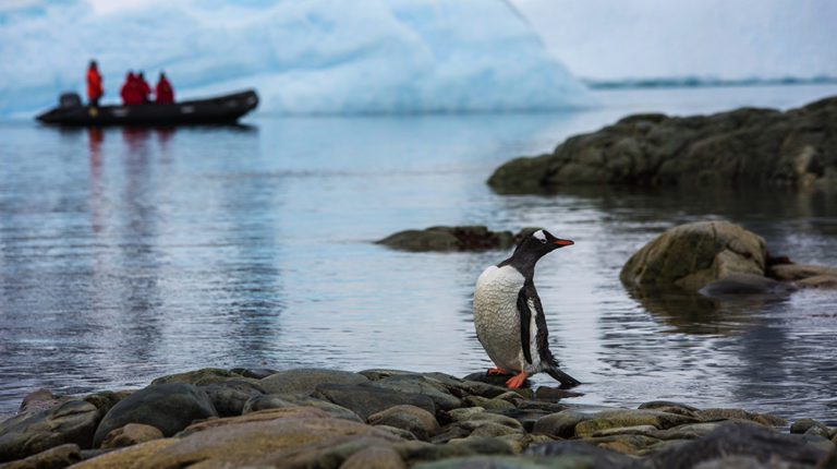 Save up to 35%: Chimu Adventures Epic Polar Sale celebrates freedom