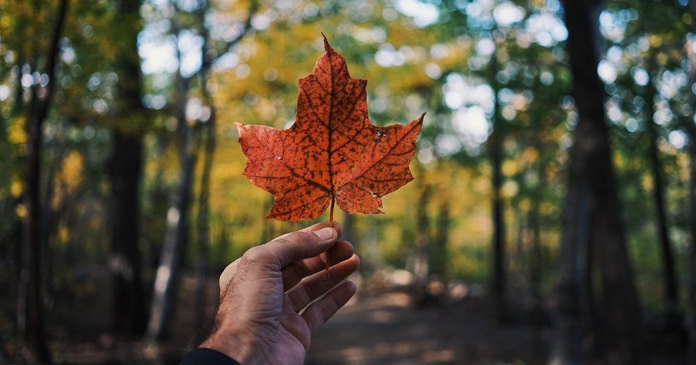 RENDEZ VOUS: Why sustainability is a key part of Canada's DNA