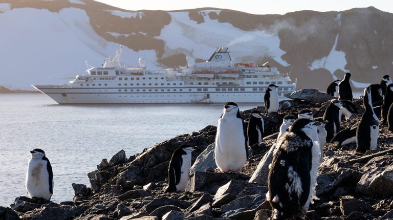 ANTARCTICA: 5 reasons you should cruise the icy region in your lifetime