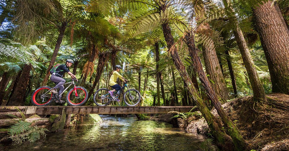5 thrills you HAVE TO TRY in Rotorua, New Zealand