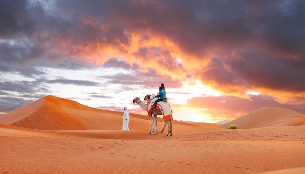 KARRYON-Etihad-Abu-Dhabi-Camel-In-Desert