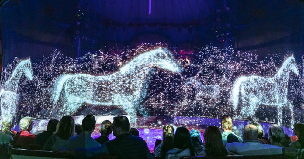 CRUELTY FREE: German circus swaps out live animals for holograms