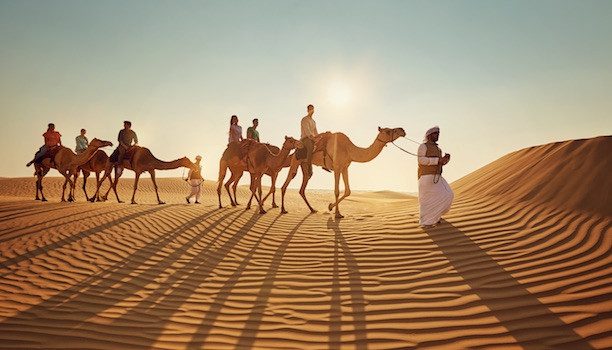 KARRYON-Abu-Dhabi-Camels-Liwa-Desert