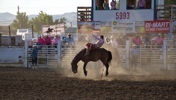 USA GIVEAWAY! Find out which agents have won trips to the USA 17 KARRYON-rodeo