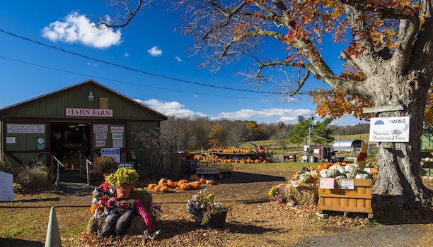 NEW YORK STATE OF MIND: Get to know NY State & win a famil to see it yourself! 30 KARRYON-New-York-State-Pumplin-Hahn-Farm