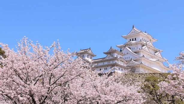 KARRYON-Japan-Cherry-Blossom-Himeji-Castle