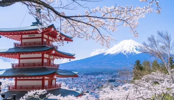 KARRYON-Japan-Cherry-Blossoms-Mt-Fuji