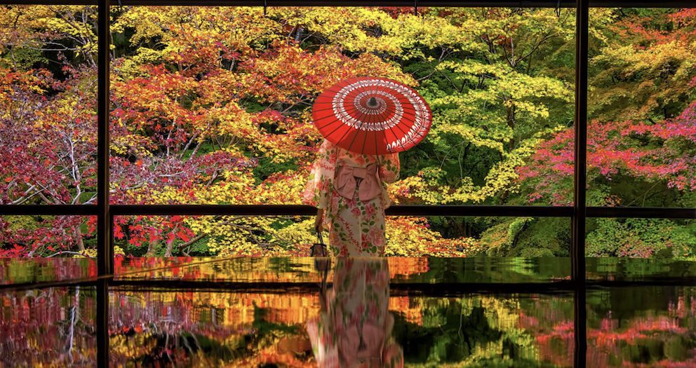 SO IN SEASON: Discover the changing face of Japan through the seasons