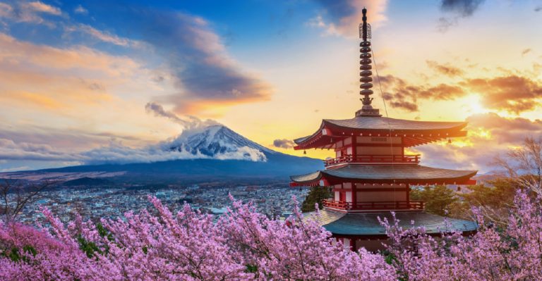 LOOKING THROUGH RED-TINTED GLASSES: Reimagine Japan With Tomato Travel
