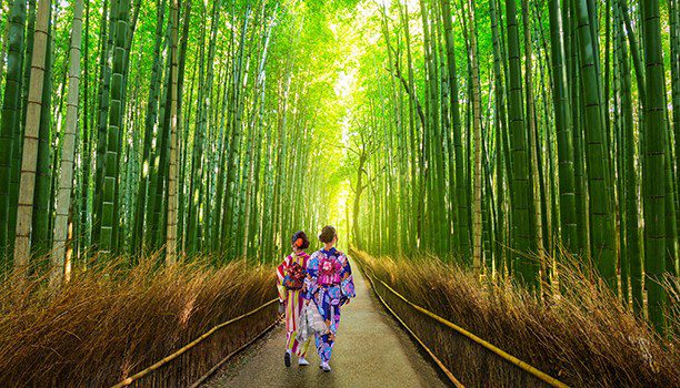 karryon_WendyWuTours_612_350_Japan-Bamboo-Forest