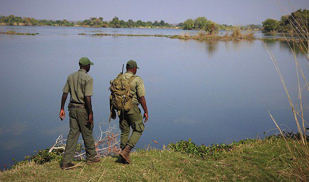 DOOM & GLOOM: Why You Rarely Hear Positive Wildlife Stories Out Of Africa 1 karryon-africa-albida-tourism