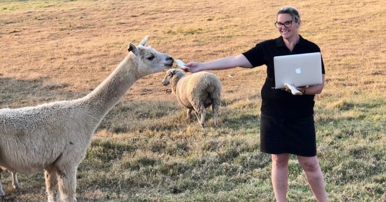 KERRY PACA: Meet The Travel Agent Who Works Alongside An Alpaca