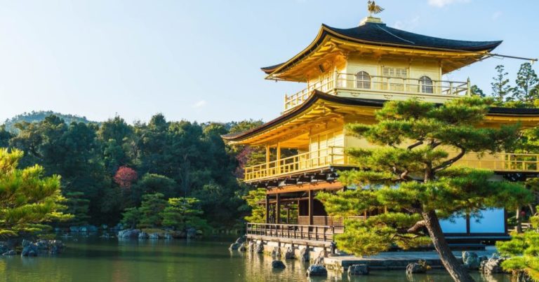 AGENT NINJA WARRIORS: Unlock Your Potential By Mastering Japan