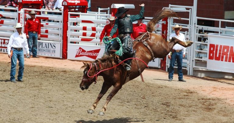 CALGARY STAMPEDE: The Aussie Roadshow is back for 2020