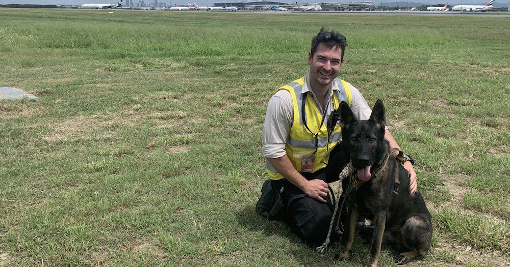 MEET OZZIE: The Adorable Dog On Airport Wildlife Patrol