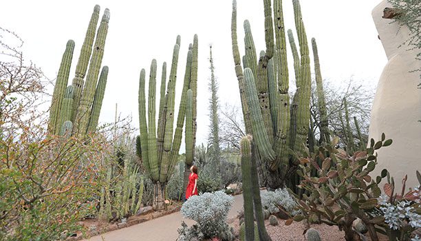 National Parks and American Indian Cultures: Road Trippin' USA 2