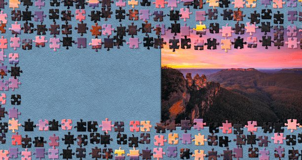 NSW Puzzle