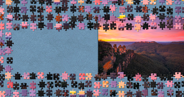 NSW Puzzle