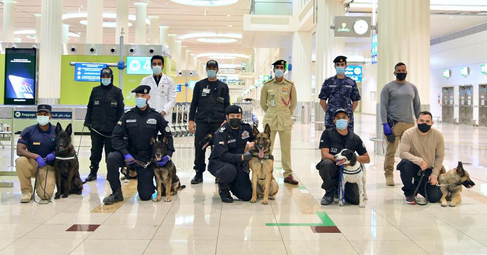 COVID-Sniffers: UAE Airports Employ K9 Police Dogs To Detect Virus