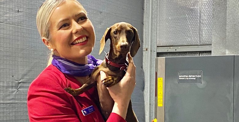 The Cutest Reunion: Virgin Australia Brings Stranded Pooch Home