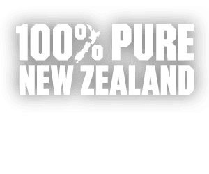 18108-TNZ-AUS-AA-TopLeft-Logo-300x250