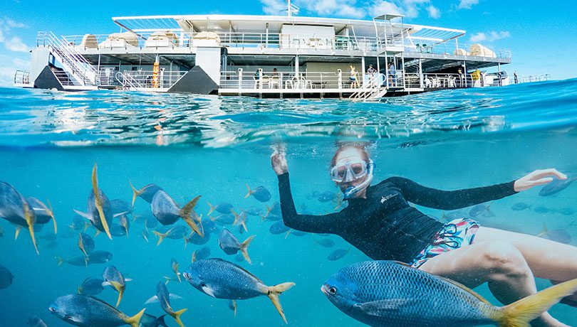 810x460 CWS REEFWORLD woman snorkelling with fish pontoon in background