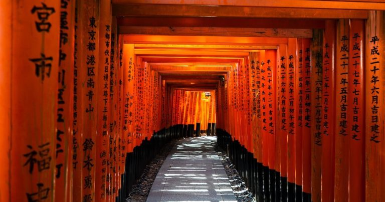 Say “Konnichiwa” To Japan Travel Adventures At A Discount With Bunnik
