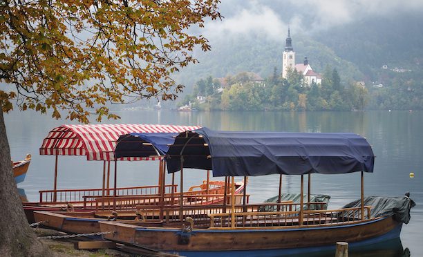 The Places We’ll Go: Last Chance To Save On Your Next Trip With Bunnik 1 Bunnik Tours