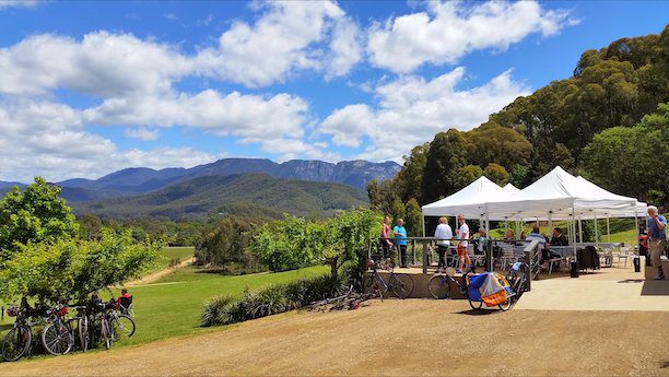 Powered By You: Australian Cycling Tours Are Booming 1 Tour de Vines